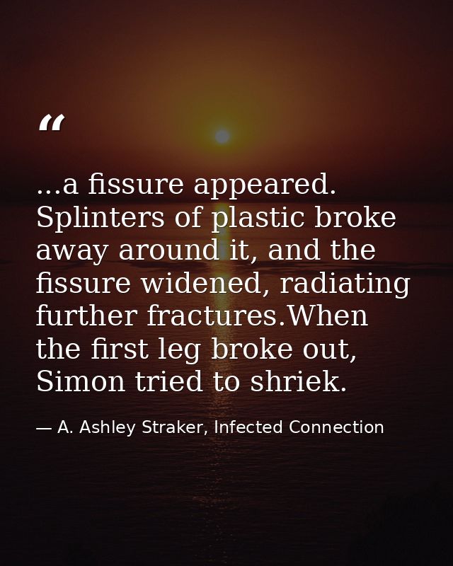 ...a fissure appeared. Splinters of plastic broke away around it, and the fissure widened, radiating further fractures.W — A. Ashley Straker, Infected Connection