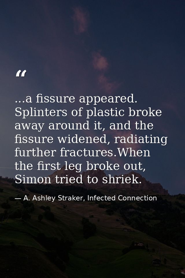 ...a fissure appeared. Splinters of plastic broke away around it, and the fissure widened, radiating further fractures.W — A. Ashley Straker, Infected Connection