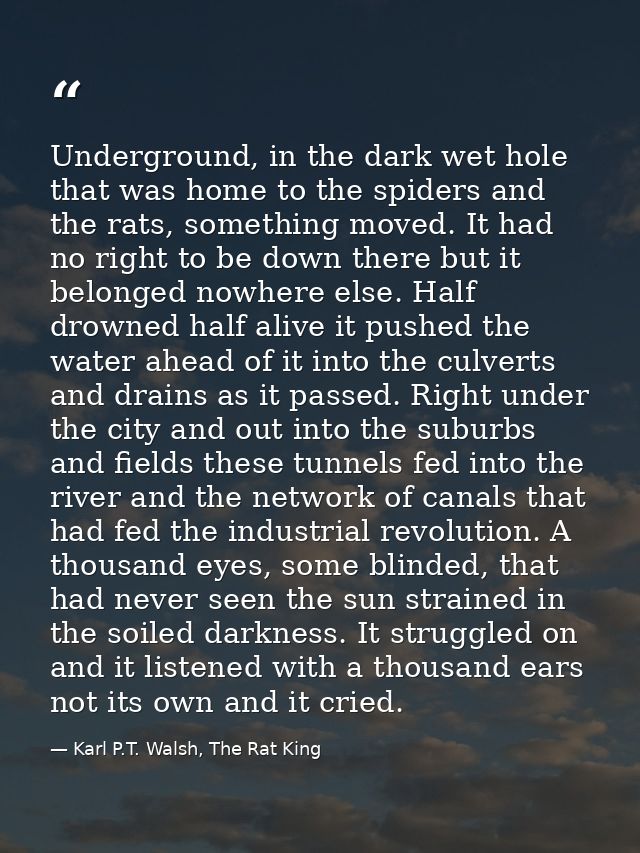 Underground, in the dark wet hole that was home to the spiders and the rats, something moved. It had no right to be down — Karl P.T. Walsh, The Rat King