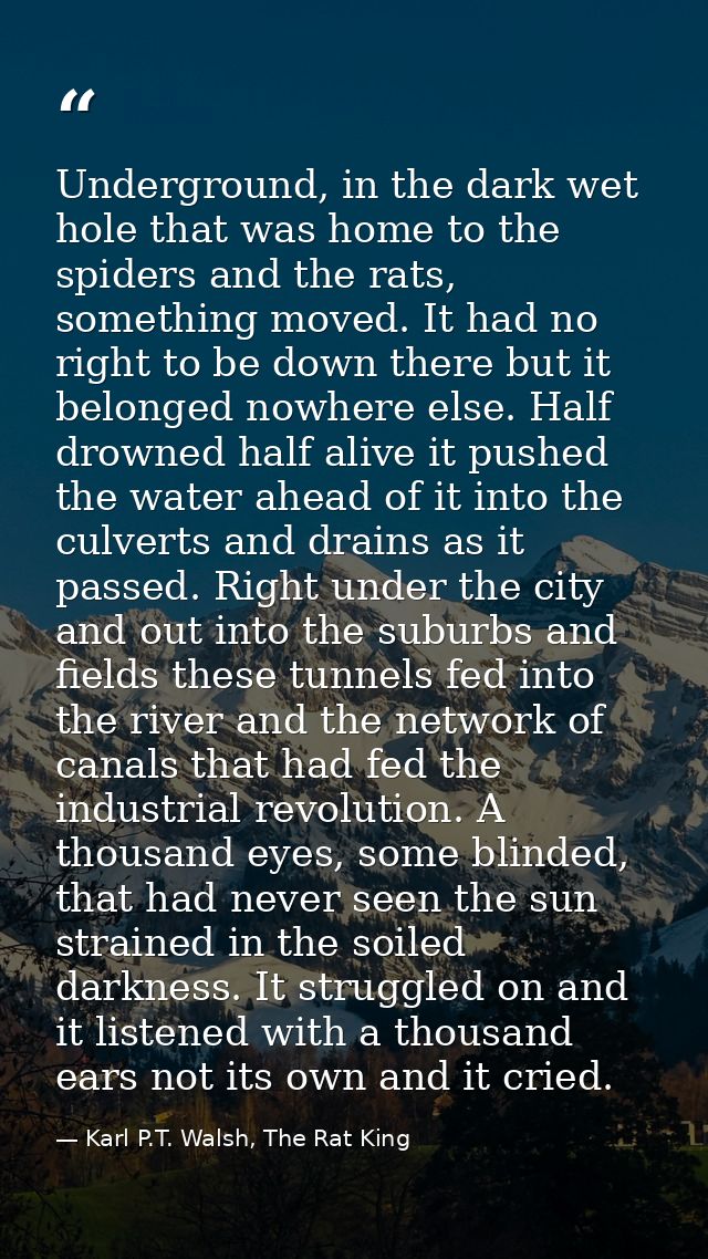 Underground, in the dark wet hole that was home to the spiders and the rats, something moved. It had no right to be down — Karl P.T. Walsh, The Rat King