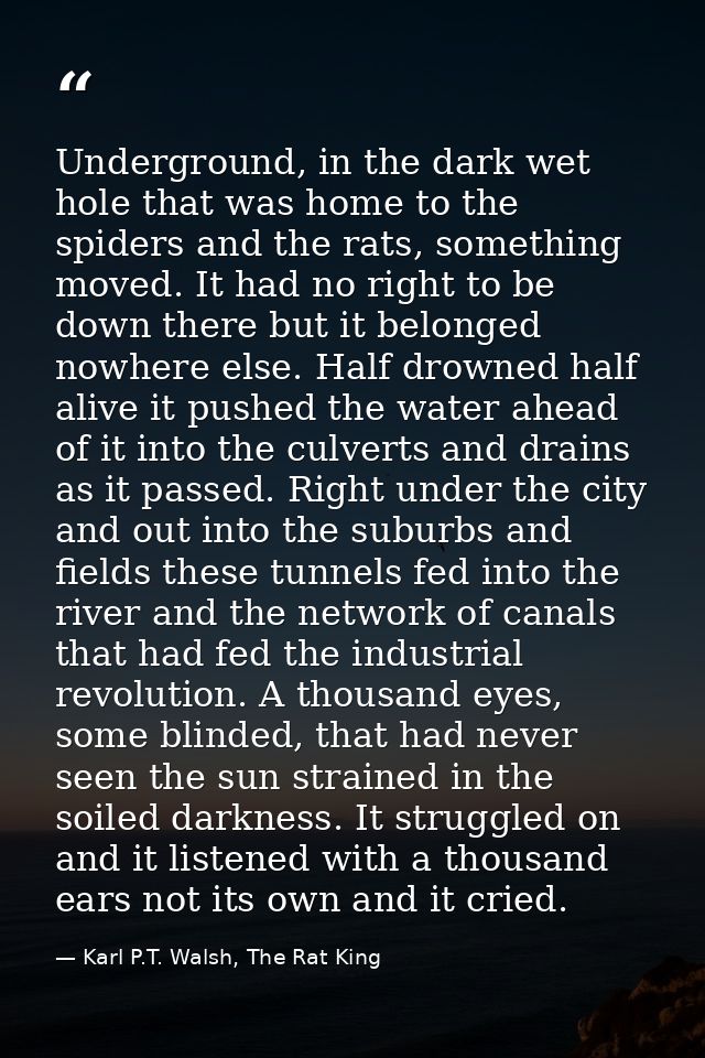 Underground, in the dark wet hole that was home to the spiders and the rats, something moved. It had no right to be down — Karl P.T. Walsh, The Rat King