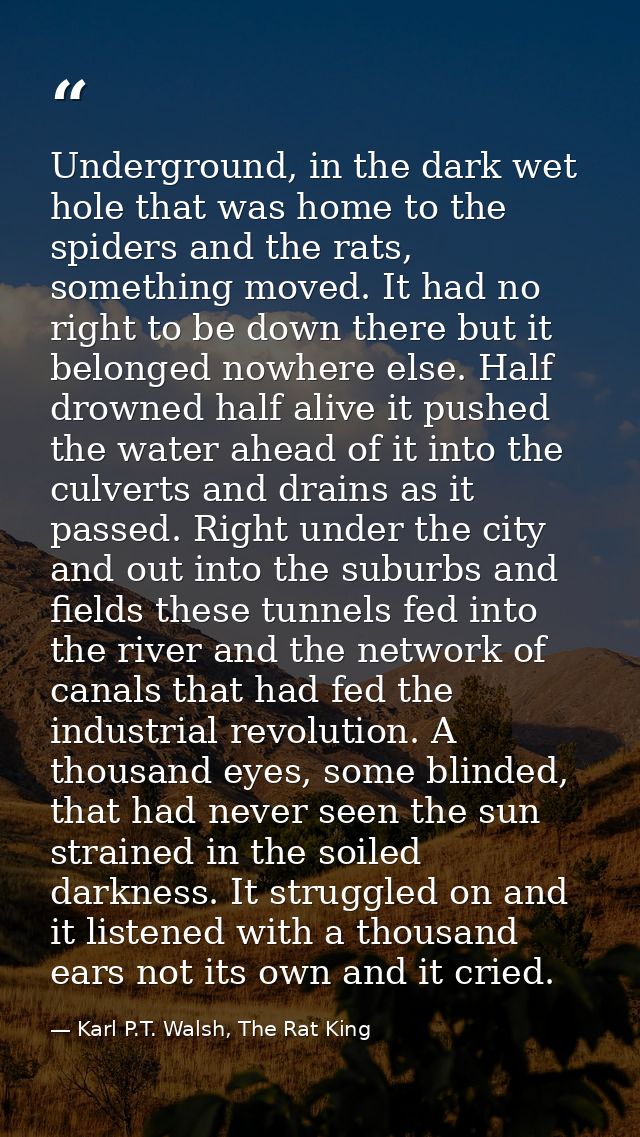 Underground, in the dark wet hole that was home to the spiders and the rats, something moved. It had no right to be down — Karl P.T. Walsh, The Rat King