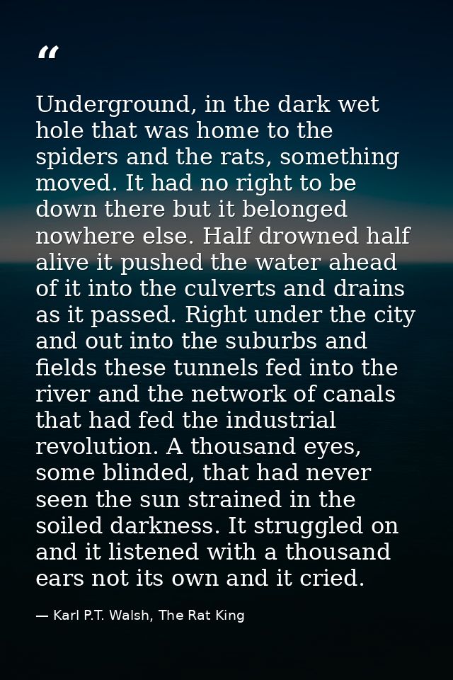 Underground, in the dark wet hole that was home to the spiders and the rats, something moved. It had no right to be down — Karl P.T. Walsh, The Rat King
