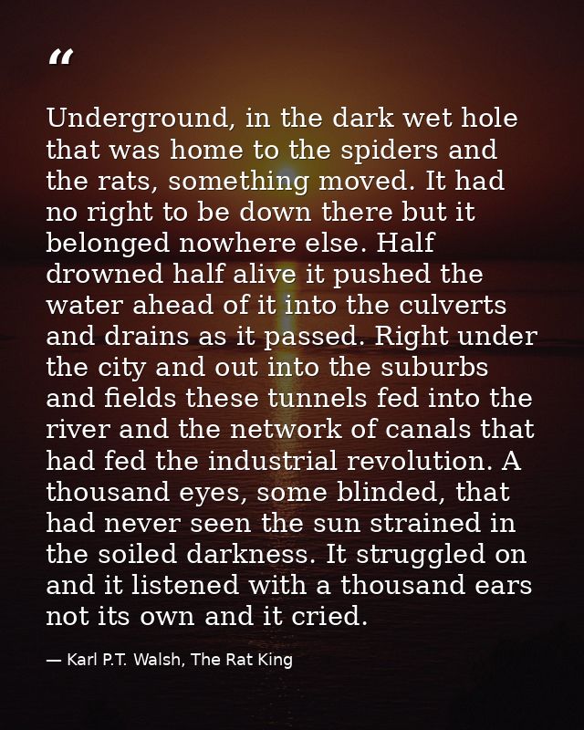 Underground, in the dark wet hole that was home to the spiders and the rats, something moved. It had no right to be down — Karl P.T. Walsh, The Rat King