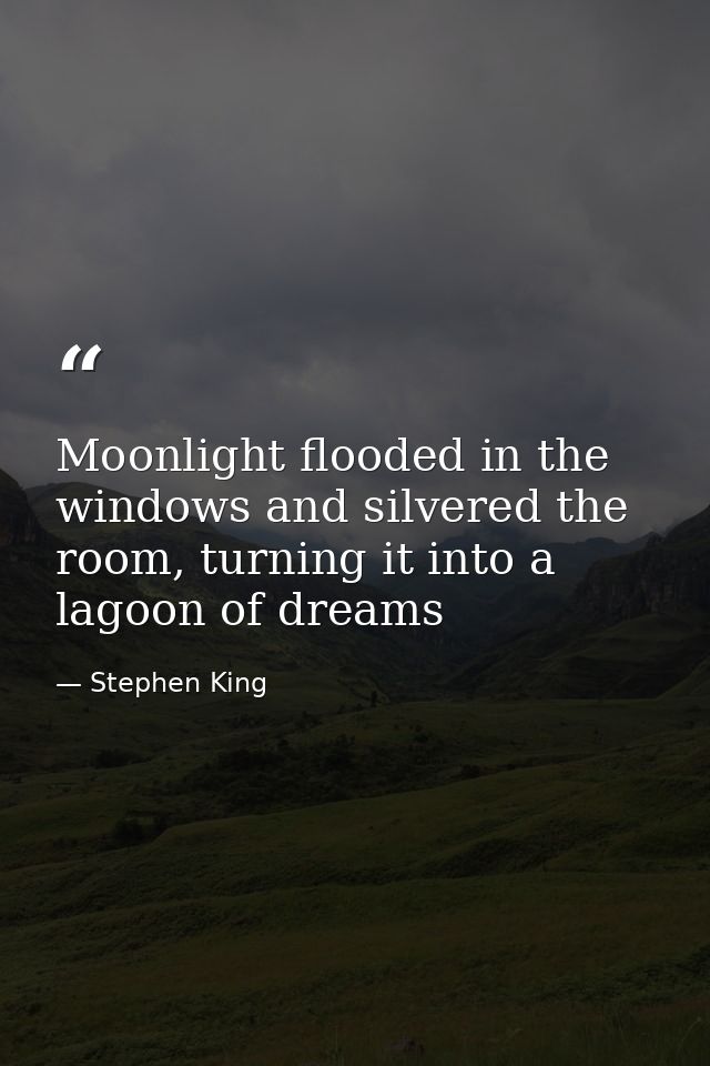 Moonlight flooded in the windows and silvered the room, turning it into a lagoon of dreams — Stephen King