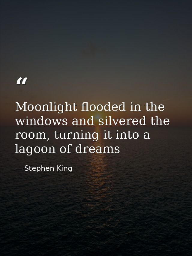 Moonlight flooded in the windows and silvered the room, turning it into a lagoon of dreams — Stephen King