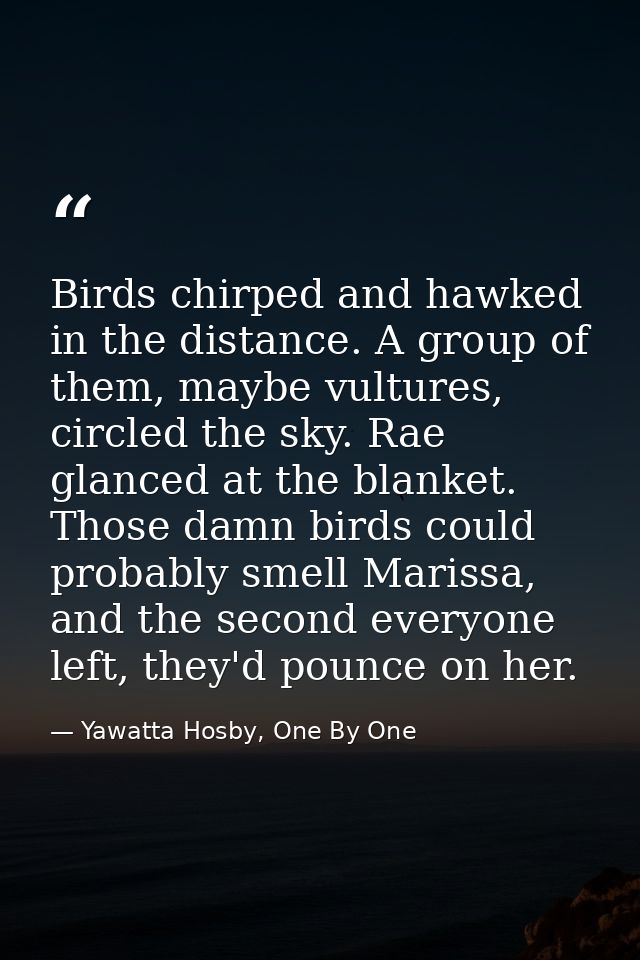 Birds chirped and hawked in the distance. A group of them, maybe vultures, circled the sky. Rae glanced at the blanket.  — Yawatta Hosby, One By One