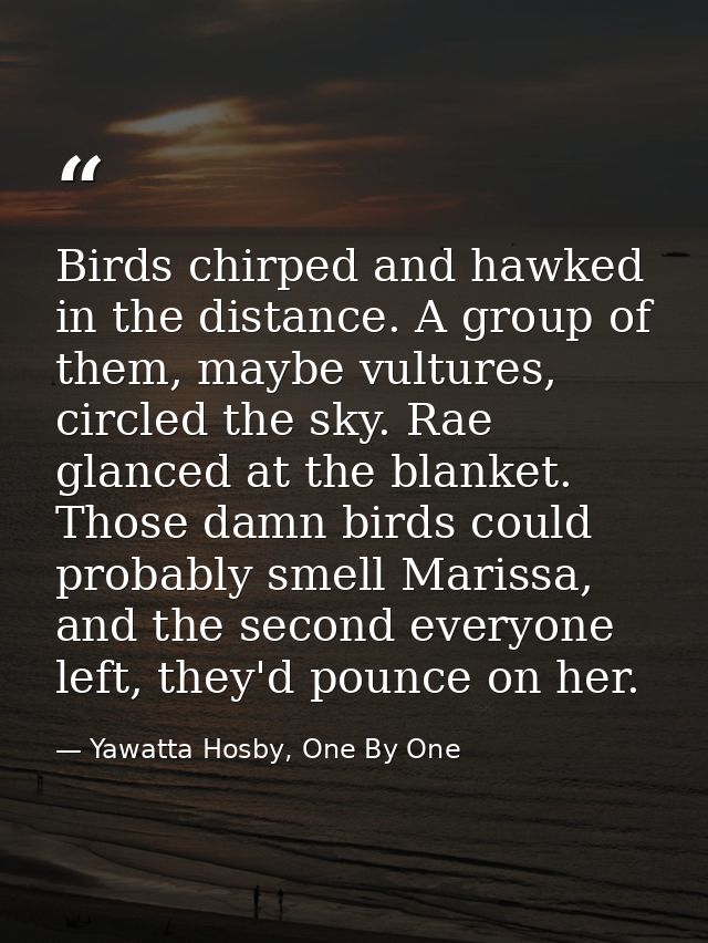 Birds chirped and hawked in the distance. A group of them, maybe vultures, circled the sky. Rae glanced at the blanket.  — Yawatta Hosby, One By One
