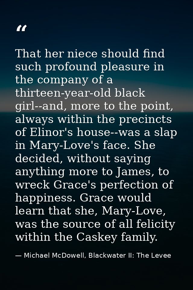 That her niece should find such profound pleasure in the company of a thirteen-year-old black girl--and, more to the poi — Michael McDowell, Blackwater II: The Levee