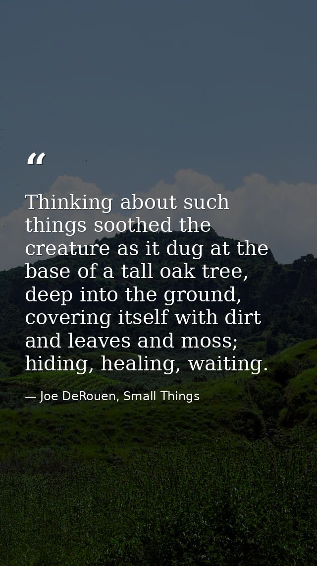 Thinking about such things soothed the creature as it dug at the base of a tall oak tree, deep into the ground, covering — Joe DeRouen, Small Things