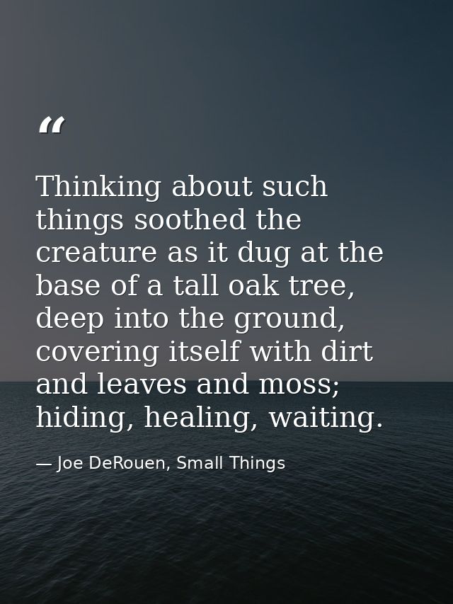 Thinking about such things soothed the creature as it dug at the base of a tall oak tree, deep into the ground, covering — Joe DeRouen, Small Things
