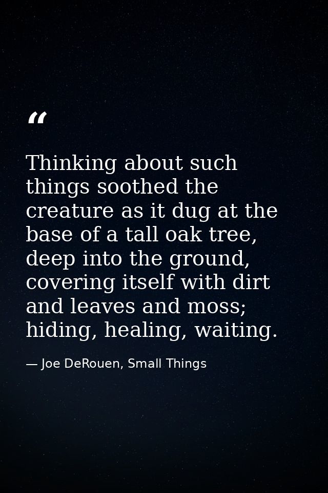 Thinking about such things soothed the creature as it dug at the base of a tall oak tree, deep into the ground, covering — Joe DeRouen, Small Things
