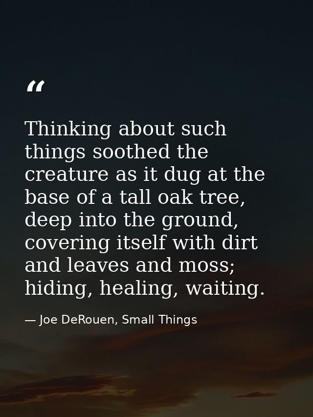 Thinking about such things soothed the creature as it dug at the base of a tall oak tree, deep into the ground, covering — Joe DeRouen, Small Things