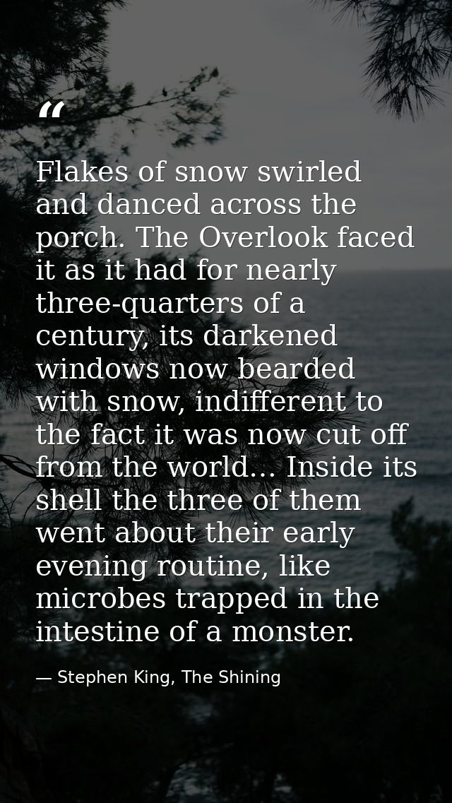 Flakes of snow swirled and danced across the porch. The Overlook faced it as it had for nearly three-quarters of a centu — Stephen King, The Shining