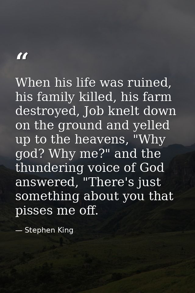 When his life was ruined, his family killed, his farm destroyed, Job knelt down on the ground and yelled up to the heave — Stephen King