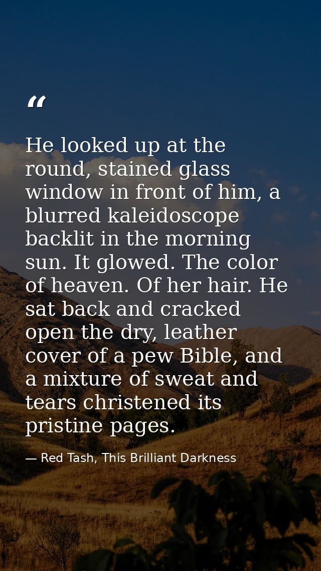 He looked up at the round, stained glass window in front of him, a blurred kaleidoscope backlit in the morning sun. It g — Red Tash, This Brilliant Darkness