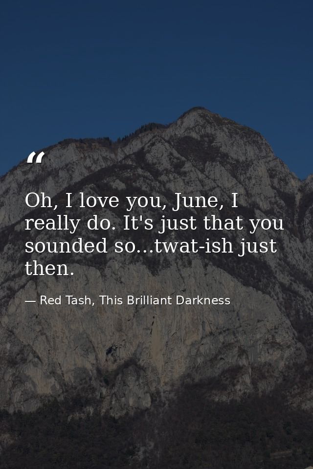 Oh, I love you, June, I really do. It's just that you sounded so...twat-ish just then. — Red Tash, This Brilliant Darkness