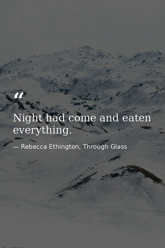 Night had come and eaten everything. — Rebecca Ethington, Through Glass