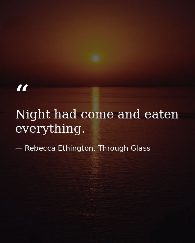 Night had come and eaten everything. — Rebecca Ethington, Through Glass