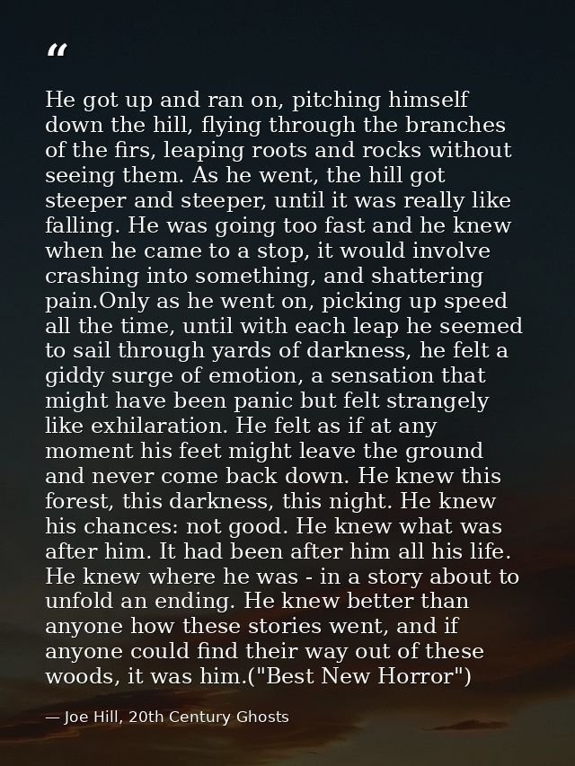 He got up and ran on, pitching himself down the hill, flying through the branches of the firs, leaping roots and rocks w — Joe Hill, 20th Century Ghosts