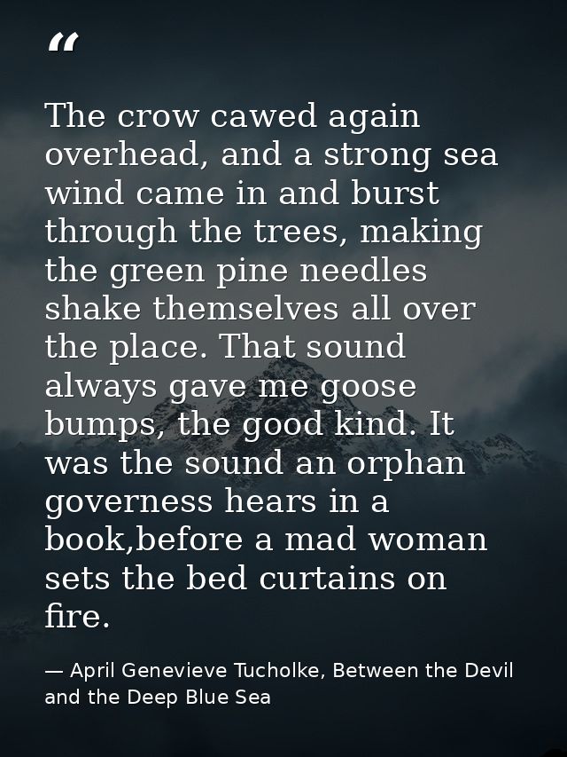 The crow cawed again overhead, and a strong sea wind came in and burst through the trees, making the green pine needles  — April Genevieve Tucholke, Between the Devil and the Deep Blue Sea