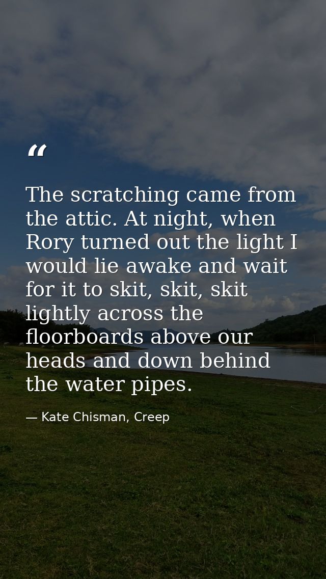 The scratching came from the attic. At night, when Rory turned out the light I would lie awake and wait for it to skit,  — Kate Chisman, Creep