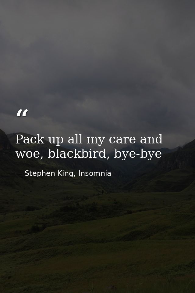 Pack up all my care and woe, blackbird, bye-bye — Stephen King, Insomnia