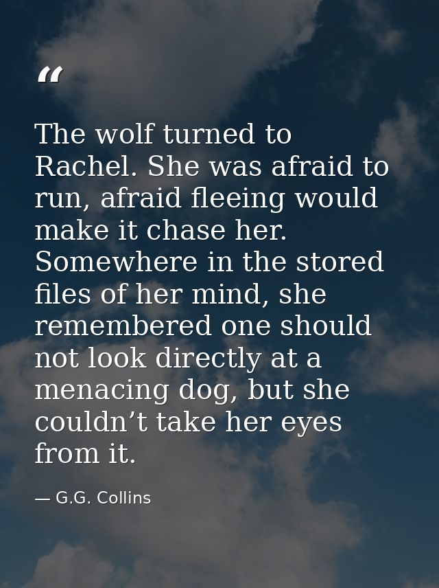 The wolf turned to Rachel. She was afraid to run, afraid fleeing would make it chase her. Somewhere in the stored files  — G.G. Collins