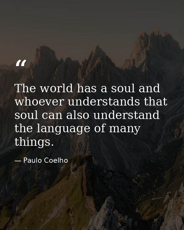 The world has a soul and whoever understands that soul can also understand the language of many things. — Paulo Coelho