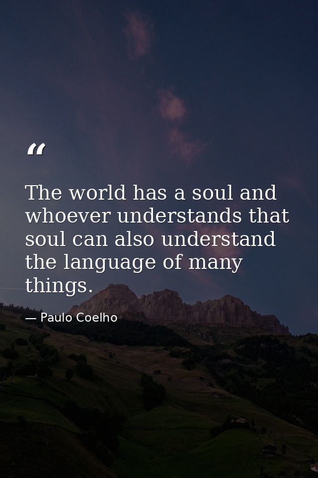 The world has a soul and whoever understands that soul can also understand the language of many things. — Paulo Coelho