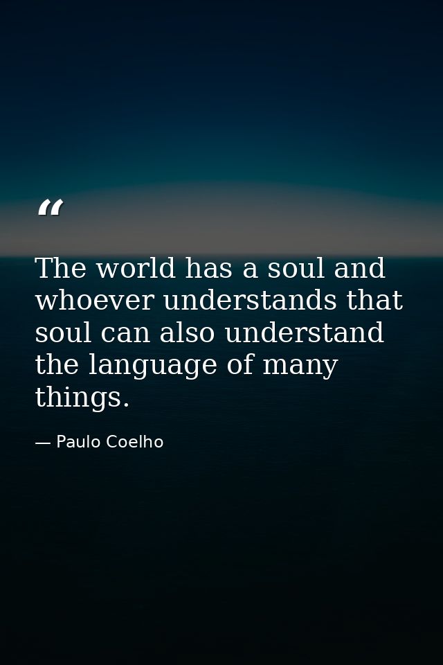 The world has a soul and whoever understands that soul can also understand the language of many things. — Paulo Coelho