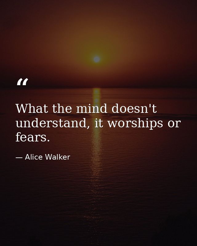 What the mind doesn't understand, it worships or fears. — Alice Walker