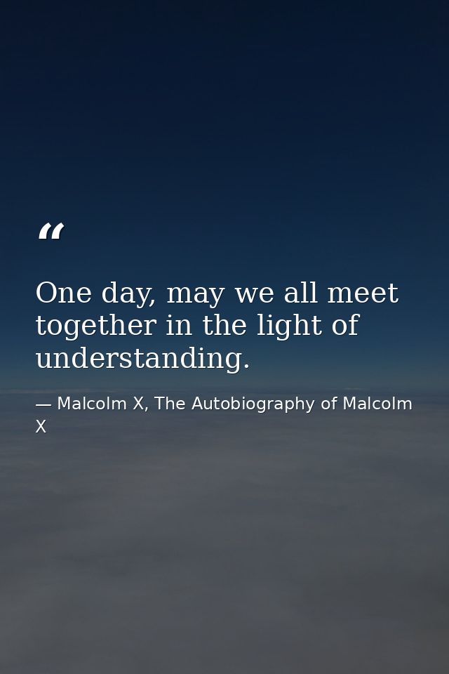 One day, may we all meet together in the light of understanding. — Malcolm X, The Autobiography of Malcolm X