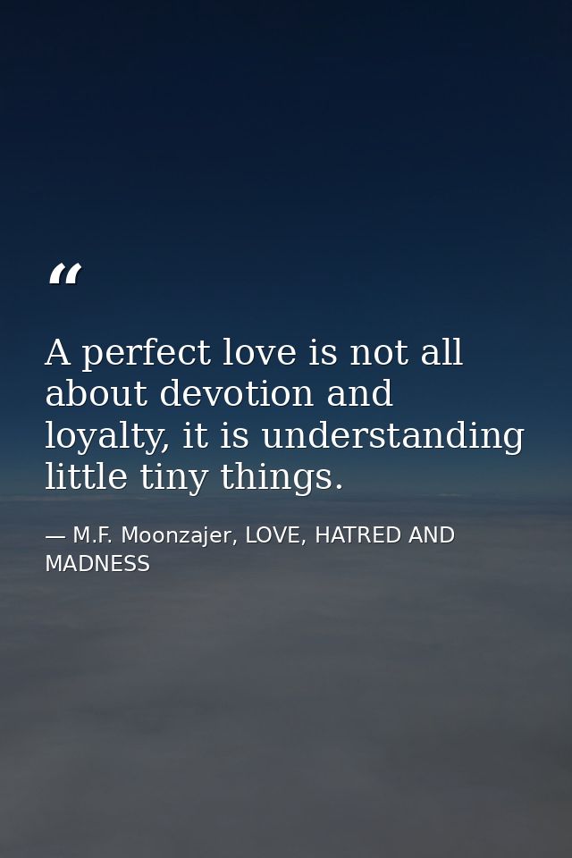 A perfect love is not all about devotion and loyalty, it is understanding little tiny things. — M.F. Moonzajer, LOVE, HATRED AND MADNESS