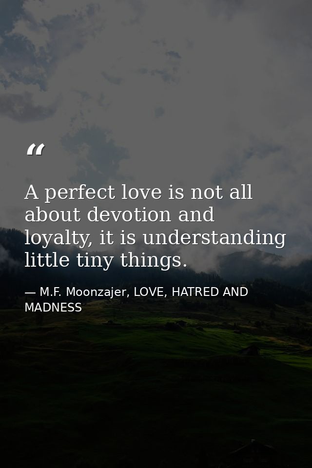 A perfect love is not all about devotion and loyalty, it is understanding little tiny things. — M.F. Moonzajer, LOVE, HATRED AND MADNESS