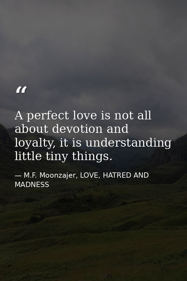 A perfect love is not all about devotion and loyalty, it is understanding little tiny things. — M.F. Moonzajer, LOVE, HATRED AND MADNESS