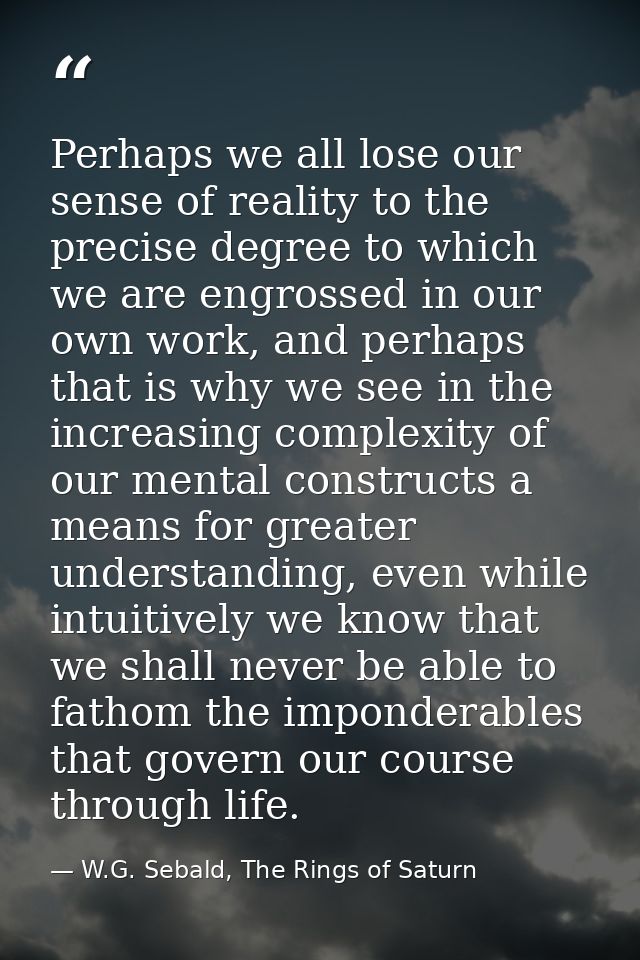 Perhaps we all lose our sense of reality to the precise degree to which we are engrossed in our own work, and perhaps th — W.G. Sebald, The Rings of Saturn