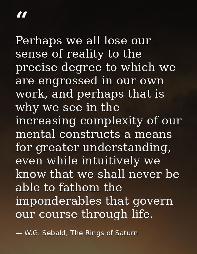 Perhaps we all lose our sense of reality to the precise degree to which we are engrossed in our own work, and perhaps th — W.G. Sebald, The Rings of Saturn