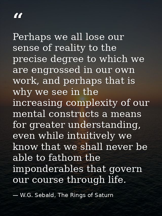 Perhaps we all lose our sense of reality to the precise degree to which we are engrossed in our own work, and perhaps th — W.G. Sebald, The Rings of Saturn