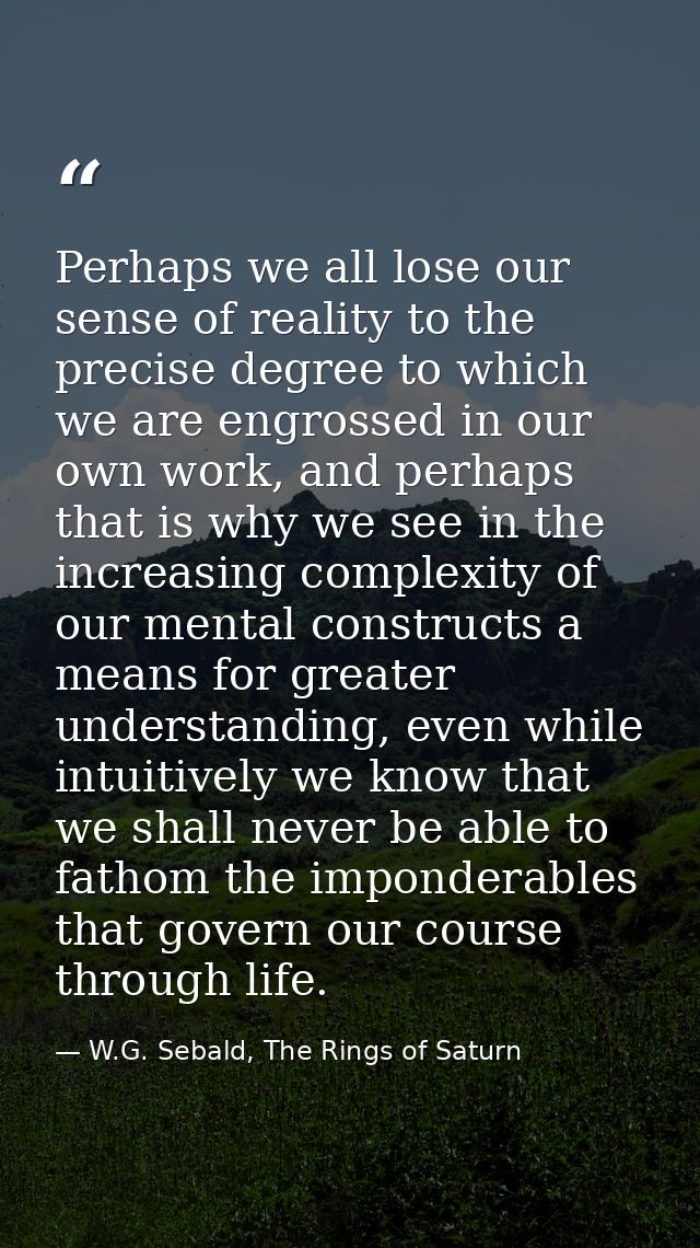 Perhaps we all lose our sense of reality to the precise degree to which we are engrossed in our own work, and perhaps th — W.G. Sebald, The Rings of Saturn