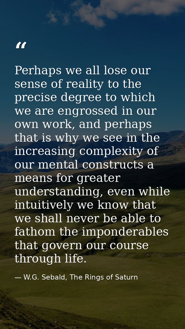 Perhaps we all lose our sense of reality to the precise degree to which we are engrossed in our own work, and perhaps th — W.G. Sebald, The Rings of Saturn
