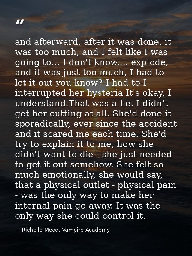 and afterward, after it was done, it was too much, and I felt like I was going to... I don't know.... explode, and it wa — Richelle Mead, Vampire Academy