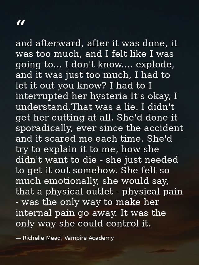 and afterward, after it was done, it was too much, and I felt like I was going to... I don't know.... explode, and it wa — Richelle Mead, Vampire Academy