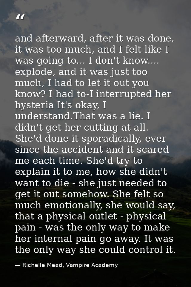 and afterward, after it was done, it was too much, and I felt like I was going to... I don't know.... explode, and it wa — Richelle Mead, Vampire Academy