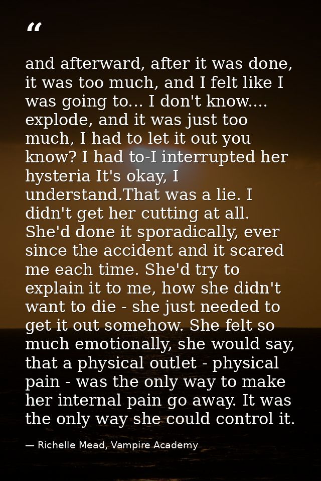 and afterward, after it was done, it was too much, and I felt like I was going to... I don't know.... explode, and it wa — Richelle Mead, Vampire Academy