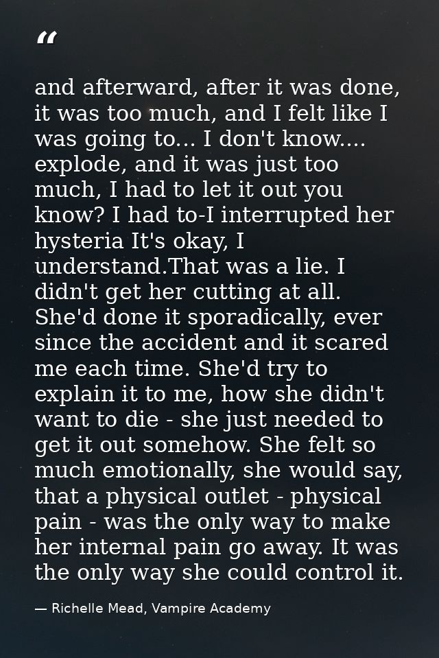 and afterward, after it was done, it was too much, and I felt like I was going to... I don't know.... explode, and it wa — Richelle Mead, Vampire Academy