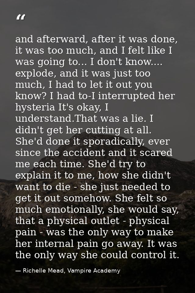 and afterward, after it was done, it was too much, and I felt like I was going to... I don't know.... explode, and it wa — Richelle Mead, Vampire Academy