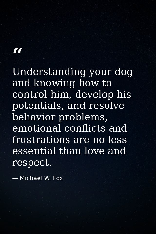 Understanding your dog and knowing how to control him, develop his potentials, and resolve behavior problems, emotional  — Michael W. Fox