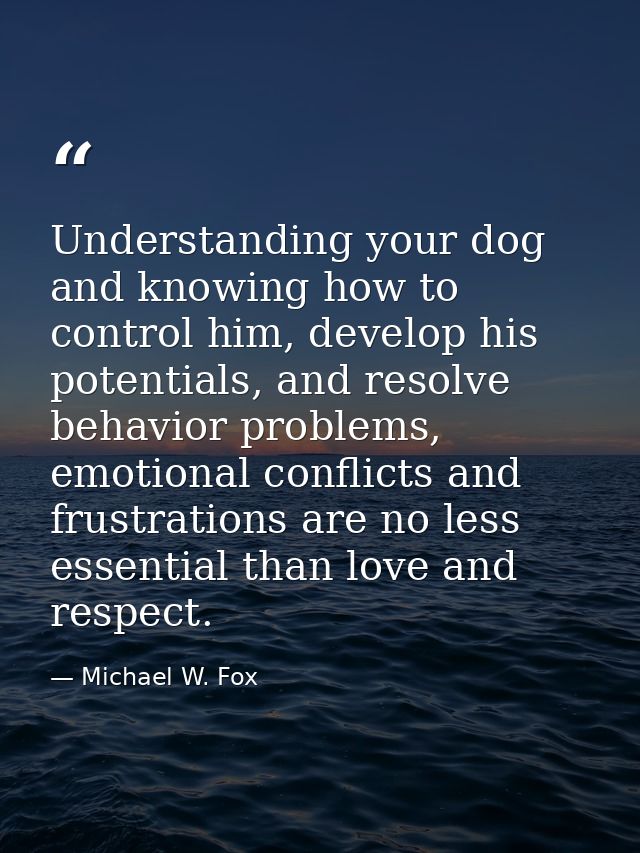 Understanding your dog and knowing how to control him, develop his potentials, and resolve behavior problems, emotional  — Michael W. Fox