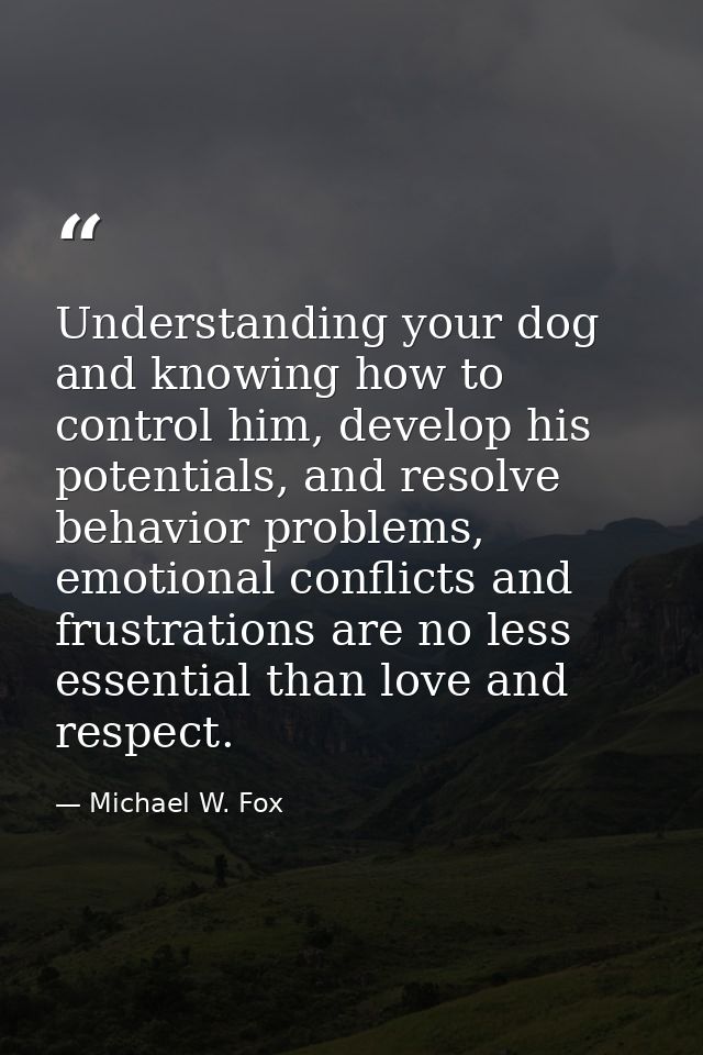 Understanding your dog and knowing how to control him, develop his potentials, and resolve behavior problems, emotional  — Michael W. Fox